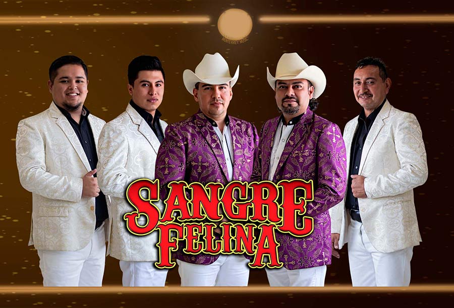 Sangre felina Contrataciones en Starmedios.com