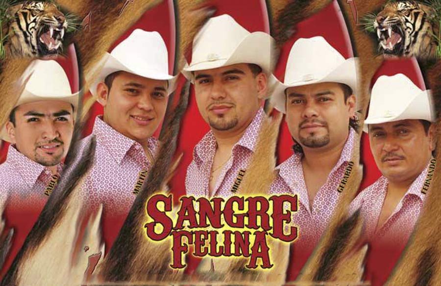 Sangre felina Contrataciones en Starmedios.com