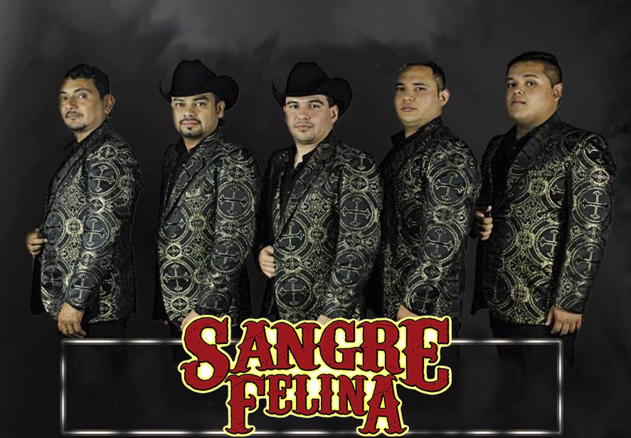 Sangre felina Contrataciones en Starmedios.com