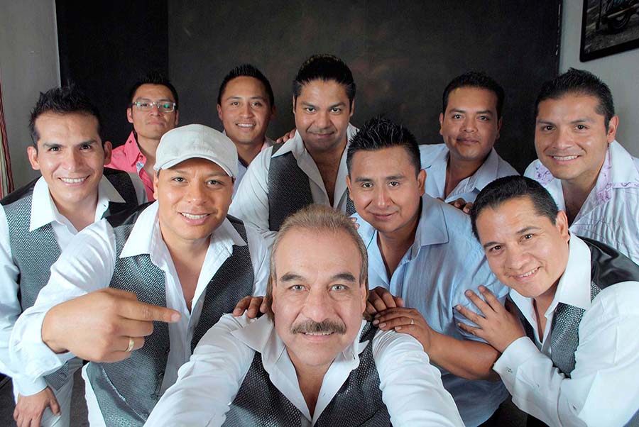 Grupo Trigo verde contrataciones en Starmedios.com